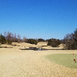 [夫婦限定]茨城でゴルフ⛳仲間募集
