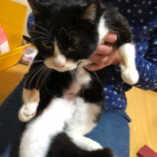 素敵な里親様見つかりました♡