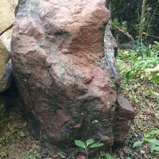 自然石　景石　岩　庭石　引き取り限定の画像