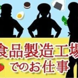 週３日～でOK！【和泉市】◎野菜のカット・袋詰め・箱詰め作業◎の画像