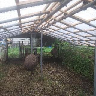 求む！若者、手に職をつけたい方！女性の方でもできます！の画像