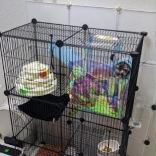 ペットゲージ／棚