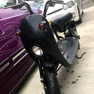 スズキ　チョイノリ