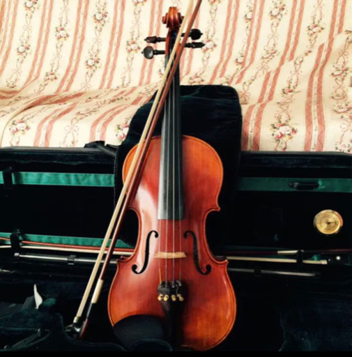 バイオリン 4/4フルサイズ カルロ・ジョルダーノvs-2