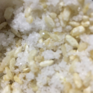 第3回　自家製お味噌を作ってみませんか〜の画像