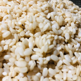 第3回　自家製お味噌を作ってみませんか〜