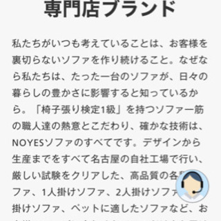 NOYES ソファ　noyes ソファ 3人掛け　スタンダード　定価10万以上