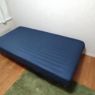 モコはペキニーズ