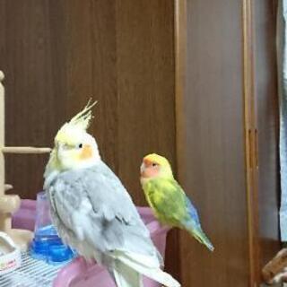コロナの影響で困窮されている方へ