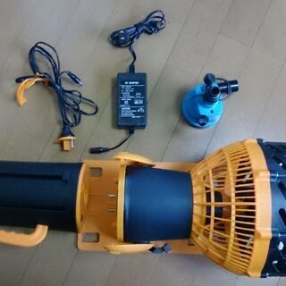 ドルフィンライダー 電動モーター付きエアーボートの画像