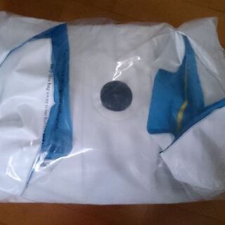 ドルフィンライダー 電動モーター付きエアーボートの画像