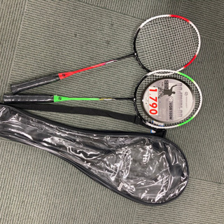 【運動不足を解消‼️】バトミントン レジャー用２本セットの画像