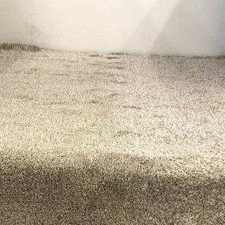 🔴売約済🔴♦️値下げしました♦️🌸カーペット🌸の画像