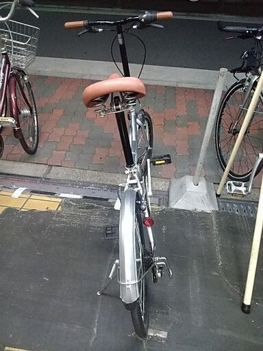 ?フィールドチャンプ20インチ