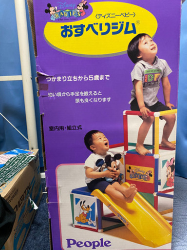 ディズニー大型ジャングルジム