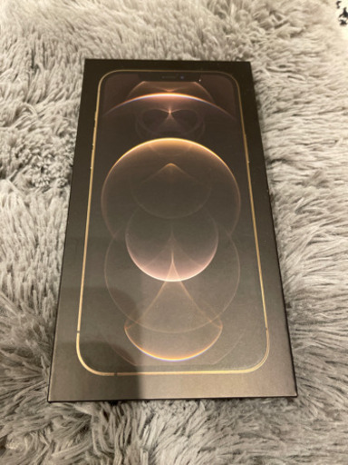 iPhone 12 Pro Max 香港版 DUAL SIMフリー NOカメラ音