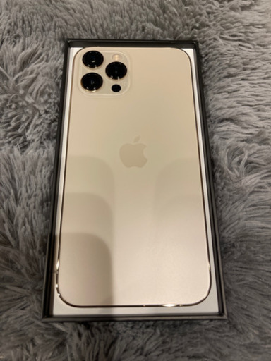 iPhone 12 Pro Max 香港版 DUAL SIMフリー NOカメラ音