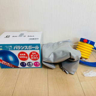 バランスボール 空気入れ シルバー 大型 セット