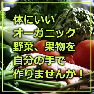 🥭🍐果樹＆野菜、お花のオーガニック貸し農園始めます！利用料無料で...