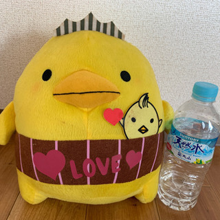 ☆【本日⭕️】ぬいぐるみの画像