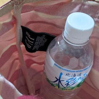 GAPバック　キャンバス生地の画像