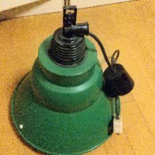 緑の電気の傘