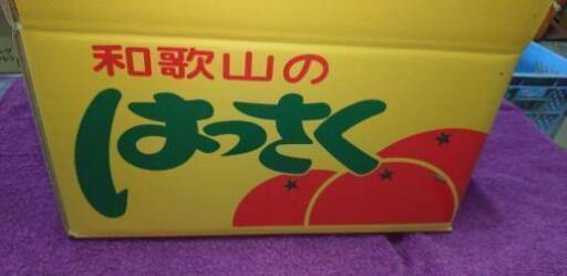 八朔10ｋ入いかがですか