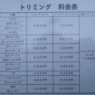 夜間専門でトリミング始めました！ - ペット