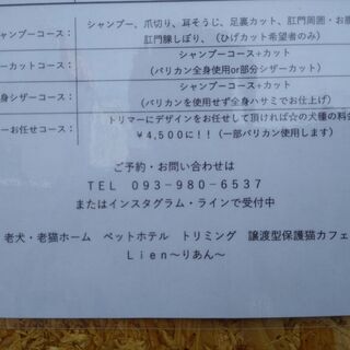 夜間専門でトリミング始めました！ − 福岡県