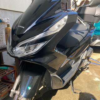【新車購入40万/低走行】pcx125 jf81 走行距離370...