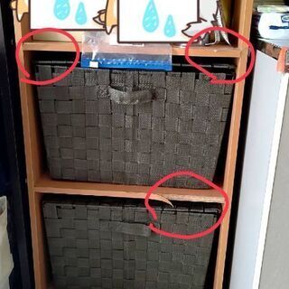15日までに引き取り手が決まらなければ、処分しますの画像