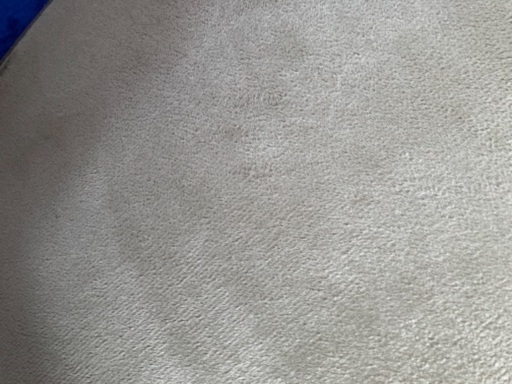 撥水ラグ　140×200cm グリーン