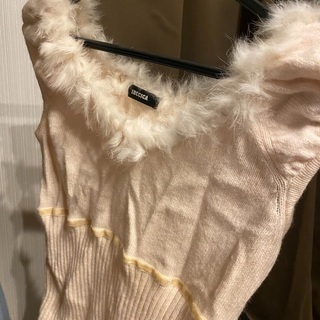 ダルメシアン　コート　スプリングコートの画像