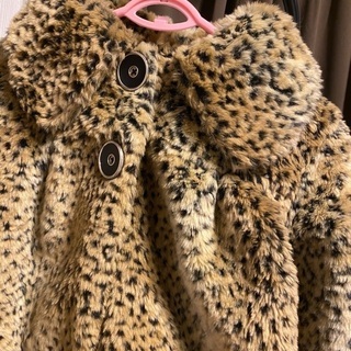 ダルメシアン　コート　スプリングコートの画像