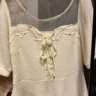 ダルメシアン　コート　スプリングコートの画像