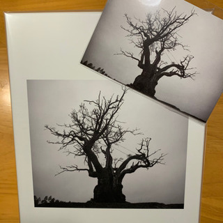 SEKAI NO OWARI 2010-2019 完全限定プレミ...