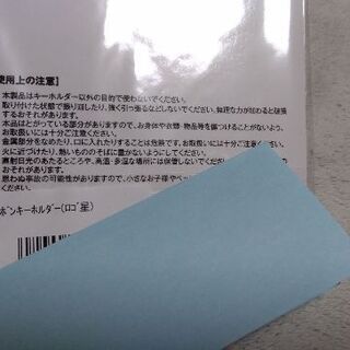 矢沢　　キーホルダーの画像