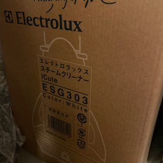 エレクトロラックス　スチームクリーナー