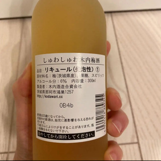 木内梅酒