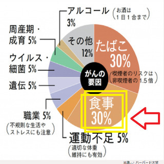 食品添加物の実態と、細胞から向き合う新しいセルフケア