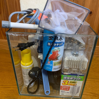 金魚飼育セット