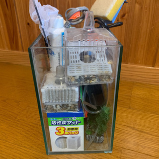 金魚飼育セットの画像