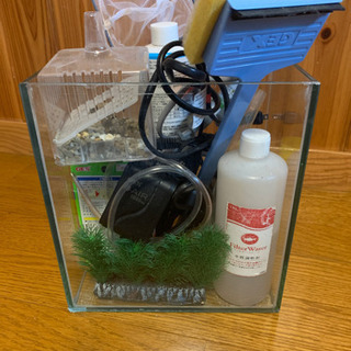 金魚飼育セットの画像