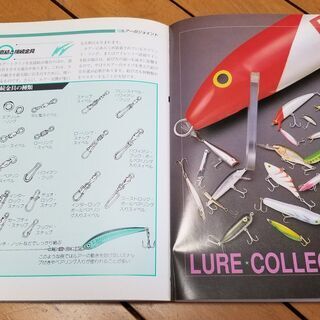 ビギナーシリーズ6 ルアーフィッシング 著者：平本正博氏の画像