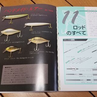 ビギナーシリーズ6 ルアーフィッシング 著者：平本正博氏の画像