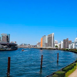 川岸付近の散策好き
