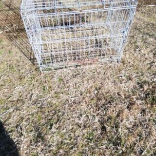 小動物用ゲイジ