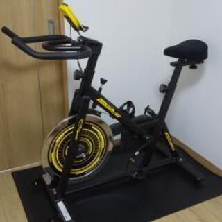 スピンバイクALINCO(アルインコ）、低反発サドルカバー・保護マット付