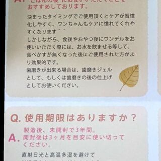 ドクターワンデルの画像