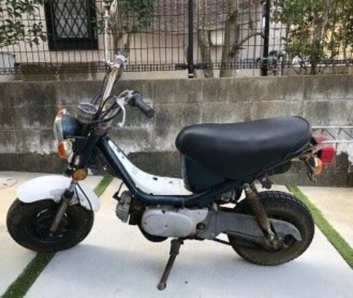 チャッピー と モンキー